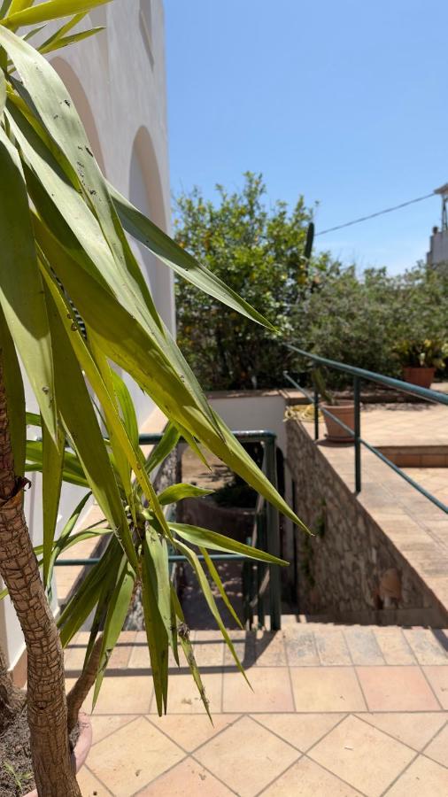 La Zagara By Caprirooms Casa de hóspedes Capri